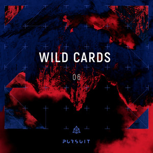 Wild Cards 06