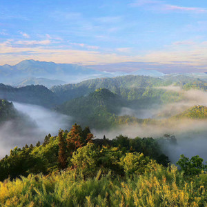 假如你到盘峰来 (伴奏)