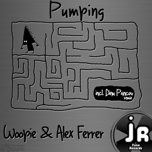 Pumping (Dinu Pancov Remix)