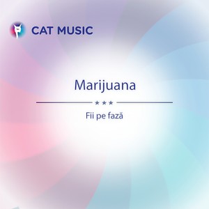 Fii Pe Fază (Inst.)