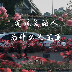 先说爱的人为什么已不再