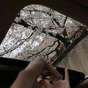 迄今为止的生命里