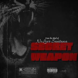 Wrong Side (feat. Jiggy McFly, Keith Hardy & Young Goudie) (Explicit)
