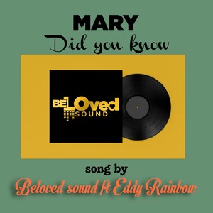 Mary Did You Know (Cover)