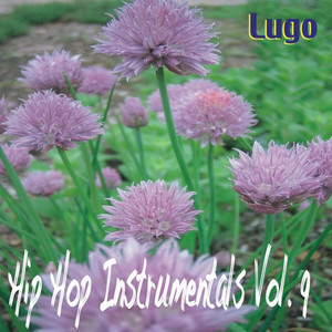 Hip Hop Instrumentals Vol. 9