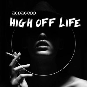 HIGH OF LIFE (Explicit)