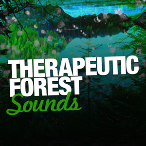 Therapeutic Forest Sounds