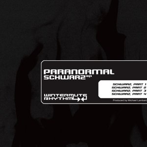 Schwarz, Pt. 3 (Original Mix)