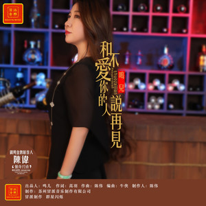 和不爱你的人说再见 (DJ何鹏版)