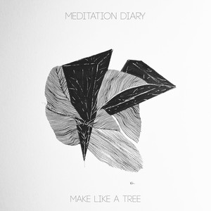 Meditation Diary