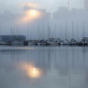 Hoan Le - Where the Day Feels Steady