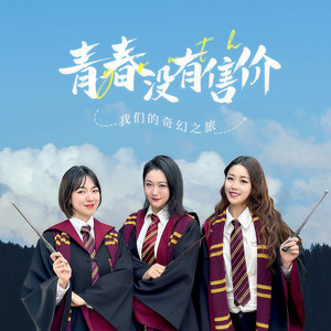 青春没有售价 (DJ阿卓版)封面