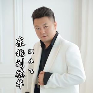 东北刘德华 (伴奏)