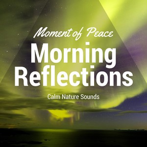 Morning Reflections - Calm Nature Sounds, Mystic Journey, Gentle Music, Moment of Peace