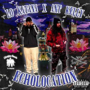 Echolocation (Explicit)