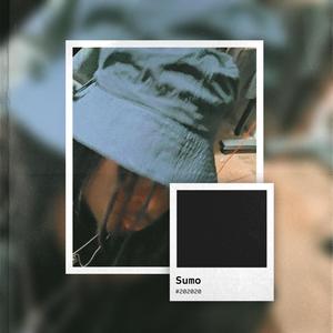 Discount Baddie (feat. BLK INK, New Jvrdan & TrapFetti) (Explicit)