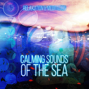 Calming Sounds of the Sea - Relaxation & Meditation, Endlessly Soothing Music, Instrumental Nature Sounds, Ocean Waves, Luxury Spa, Sensual Massage Music for Aromatherapy