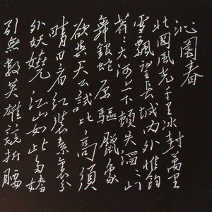 沁园春·长沙·雪