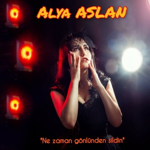 Ne Zaman Gönlünden Sildin (Explicit)