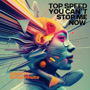 Top Speed (You Can't Stop Me Now) (DJ Schachthütte Remix)