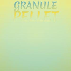 Granule Pellet