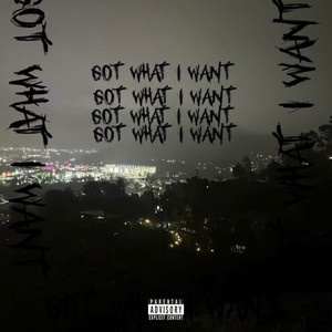 Got What I Want (Explicit)