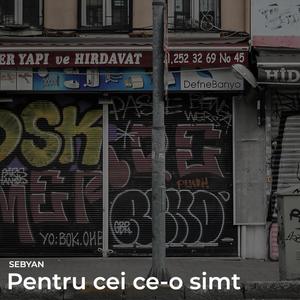 Pentru cei ce-o simt (Explicit)