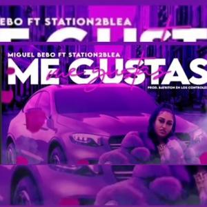 ME GUSTAS BY: BAYRITON (feat. STATION2BLEA) [Radio Edit]