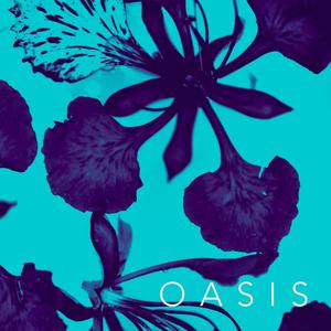 Oasis