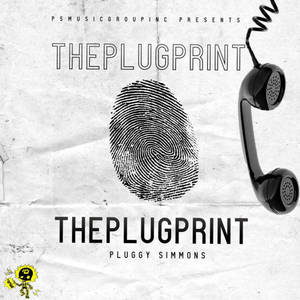 ThePlugPrint (Explicit)