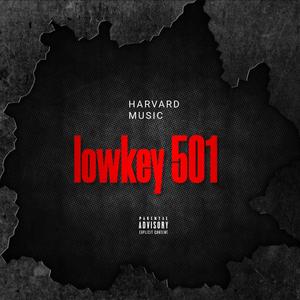 Lowkey 501