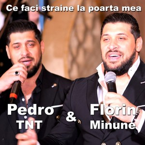 Ce faci straine la poarta mea