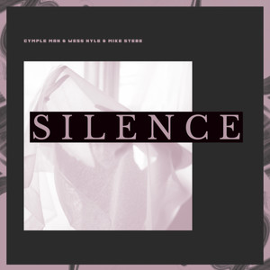 Silence (feat. Wess Nyle & Mike Stebe)