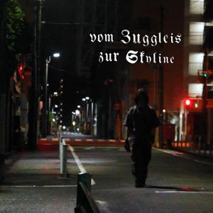 vom zuggleis zur skyline