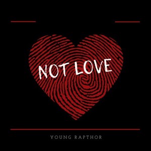 Not Love (Explicit)