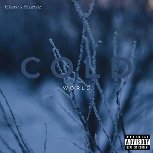 Cold World (feat. Starwiz) [Radio Edit] [Explicit]