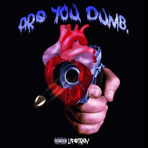 Are You Dumb (Explicit)