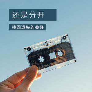 国王与乞丐 (DJ版)