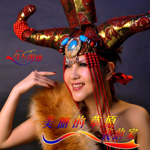 美丽的草原我的家封面