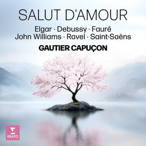 Haydn: Cello Concerto No. 2 in D Major, Hob. VIIb:2: II. Adagio