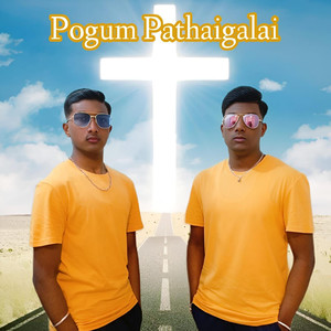 Pogum Pathaigalai
