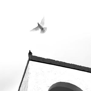 Set Free (feat. eesaa, Jk.A & FREEE) (Haylo's Mix)