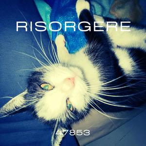 RISORGERE (feat. MEZZ) (Explicit)