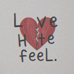 Love Hate Feel