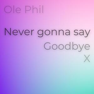 Never Gonna Say Goodbye