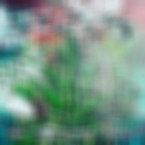 Splizzys (feat. RawMind) (Explicit)