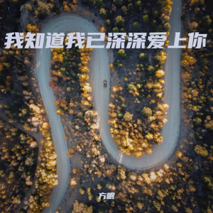 是你的真心换我的真情