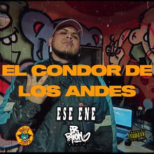 Condor de Los Andes (Explicit)