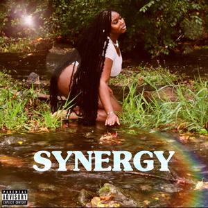 SYNERGY (Explicit)