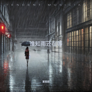 谁知雨还在等